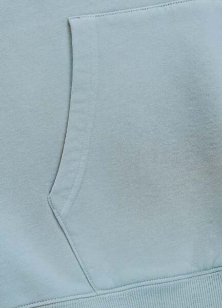 Bluza męska z kapturem washed PIT BULL "DOG SD" - błękitny