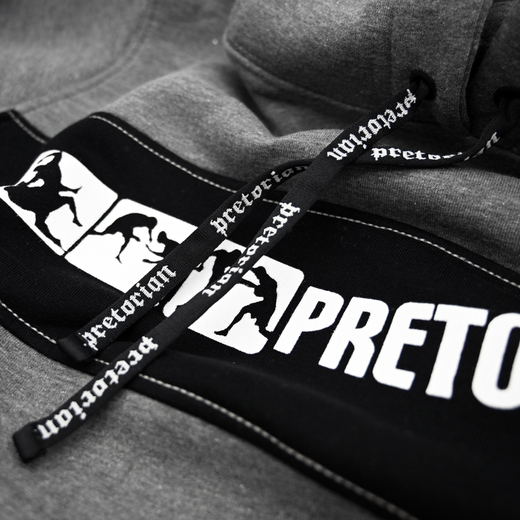 Hoodie Pretorian "Fight Division" - grey