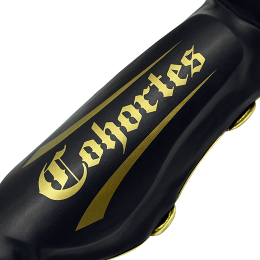 Cohortes "Gold Armis" shin and foot protectors