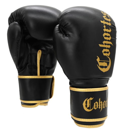 Boxing gloves Cohortes "Latus Cohort"