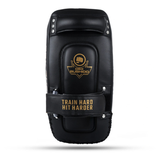 PAO Gold Thai Shields pair | ProFighter | DBX Bushido