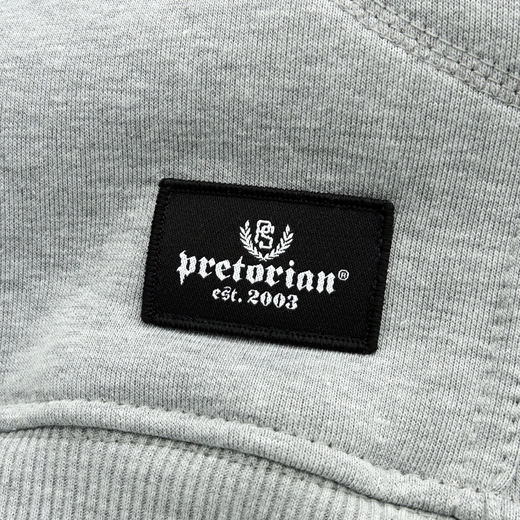 Hoodie Pretorian "Air - gray