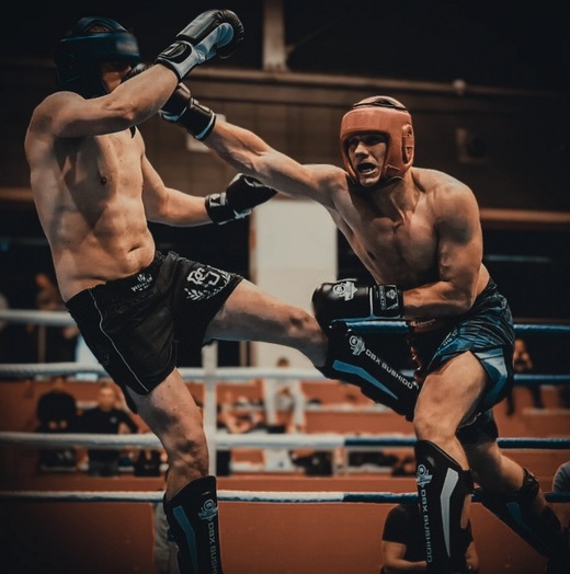 Bushido boxing gloves - ARB 407a