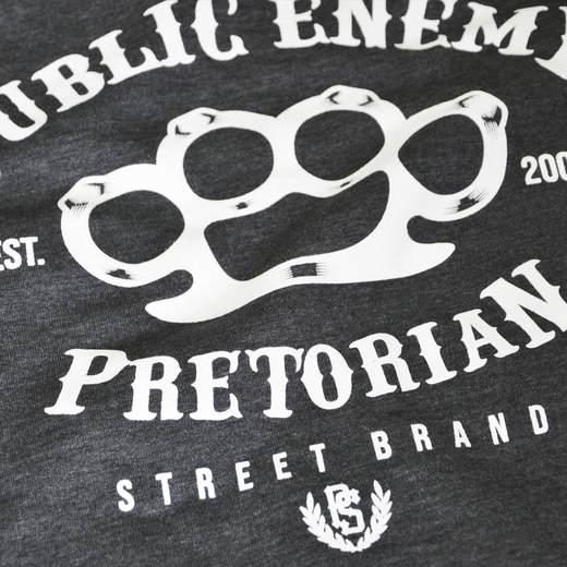 Raglan sweatshirt Pretorian "Public Enemy" - graphite