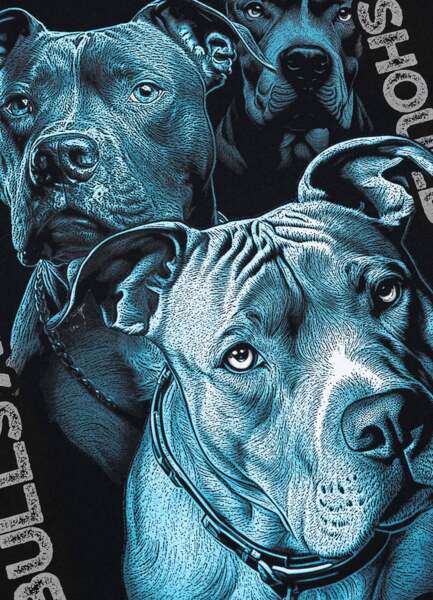 PIT BULL "PROTECTOR" men's t-shirt - black