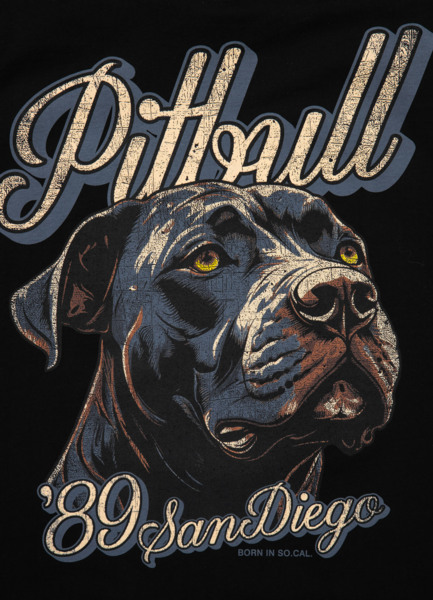 PIT BULL &quot;Orginal&quot; T-shirt - black