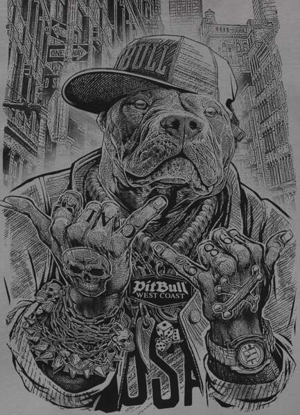 PIT BULL "AVENUE" T-shirt - gray