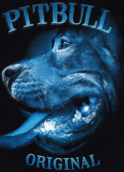 PIT BULL &quot;MIDNIGHT&quot; sweatshirt - black