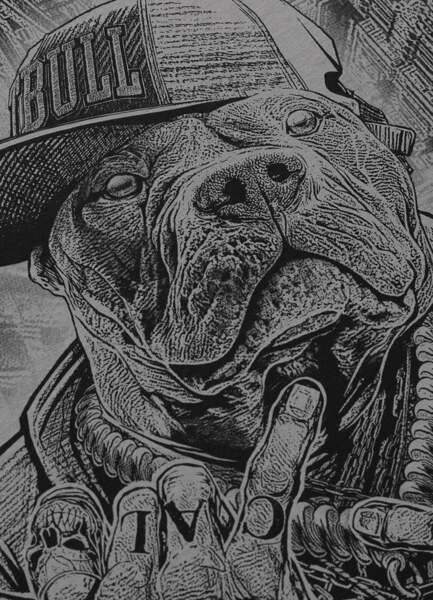 PIT BULL "AVENUE" T-shirt - gray
