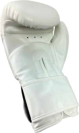 Rękawice bokserskie MASTERS RPU-WHITE