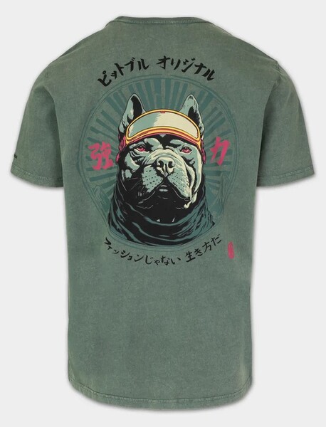 PIT BULL Denim Washed Men&#39;s T-Shirt &quot;MT. FUJI&quot; - Dark Green