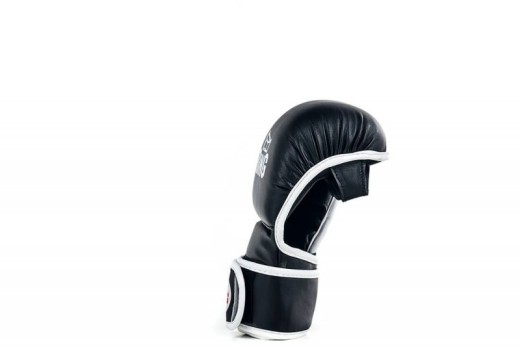 MMA grappling gloves RING