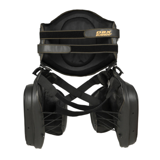 Trainer's Torso and Thigh Protector Set - ProFighter | DBX Bushido