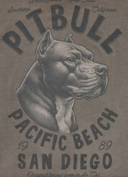 Koszulka męska PIT BULL Denim Washed Raw "PACIFIC" - szarobrązowa