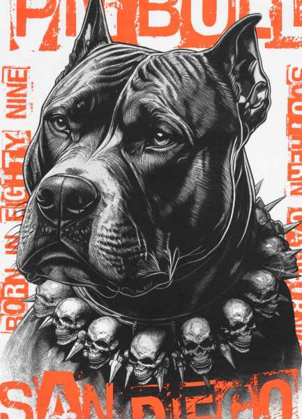 Koszulka PIT BULL "BLACKY" - biały