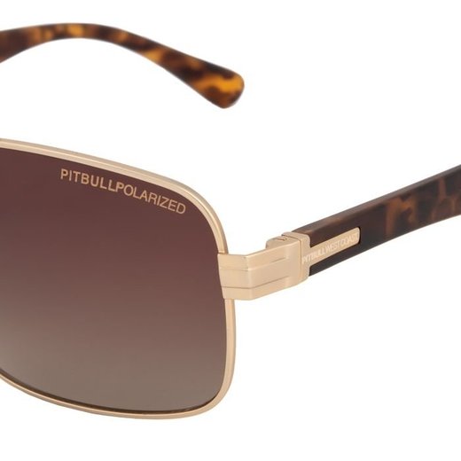 PIT BULL &quot;Hofer&quot; sunglasses - gold / brown