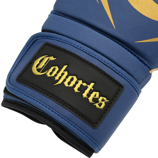 Boxing gloves Cohortes &quot;Sericum Cohort&quot; - blue