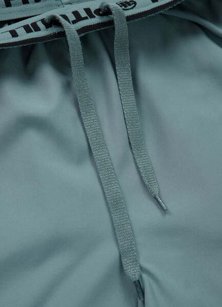 PIT BULL Performance "Small Logo II" Sports Shorts - Mint