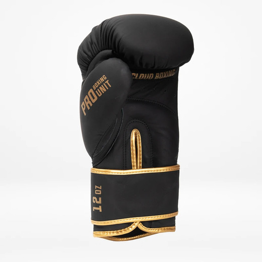 StormCloud "Boxing Pro" boxing gloves - black / gold