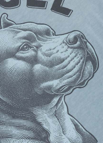 PIT BULL Denim Washed Raw Men&#39;s T-Shirt &quot;PACIFIC&quot; - Blue