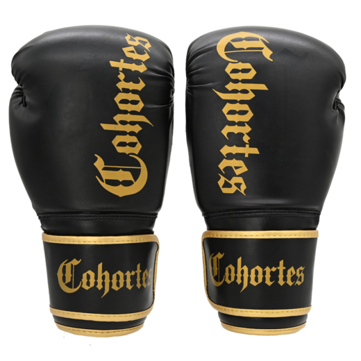 Boxing gloves Cohortes "Latus Cohort"