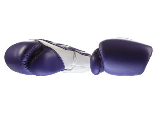  TWINS SPECIAL BGVL-6 BOXING GLOVES (violet/white palm) 