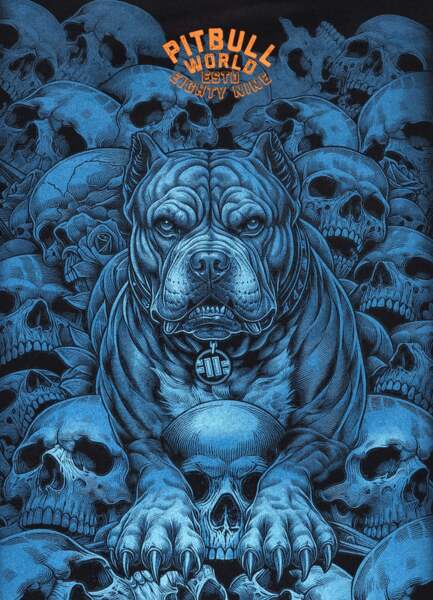 PIT BULL "GUARDIAN ANGEL" men's sweatshirt - black