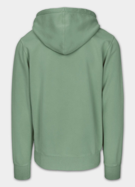 Bluza męska z kapturem PIT BULL Washed "VINTAGE BJJ" - zielony