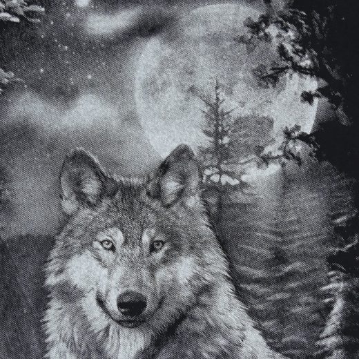 HD T-shirt &quot;Wolf Night&quot;