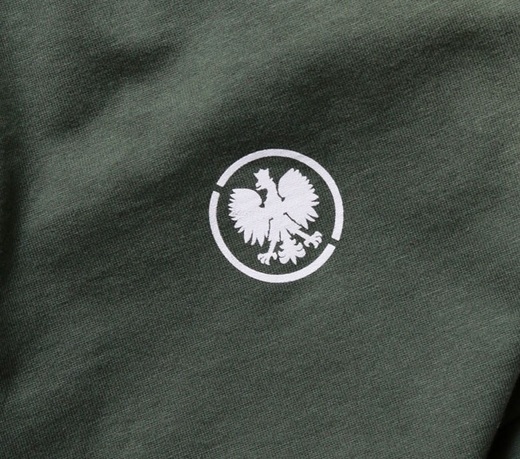 Eagle Ultrapatriot T-shirt - khaki