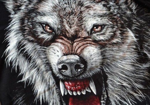 Koszulka "Angry Wolf" HD 