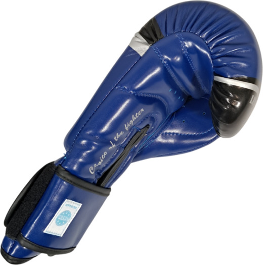 MASTERS RPU-FT Boxing Gloves (WAKO APPROVED) - Blue