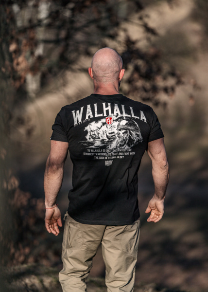 Koszulka T-shirt Dobermans Aggressive "WALHALLA" TS364A - czarna