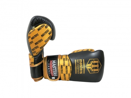 Masters RBT-PROFESSIONAL boxing gloves