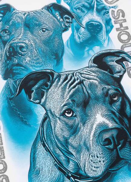 PIT BULL "PROTECTOR" men's t-shirt - white
