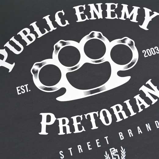 Hoodie Pretorian  "Public Enemy" - grey
