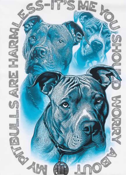 PIT BULL "PROTECTOR" men's t-shirt - white