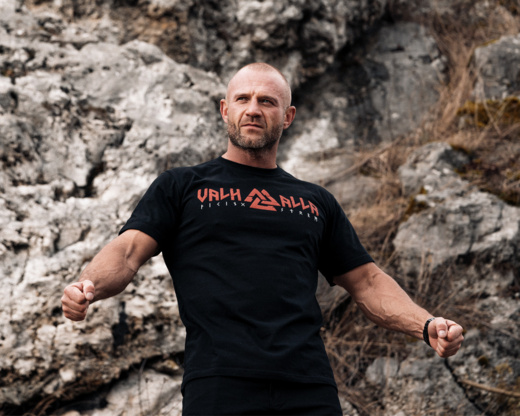 Koszulka T-shirt Dobermans Aggressive "Mystery Valhalla TS323" - granatowa