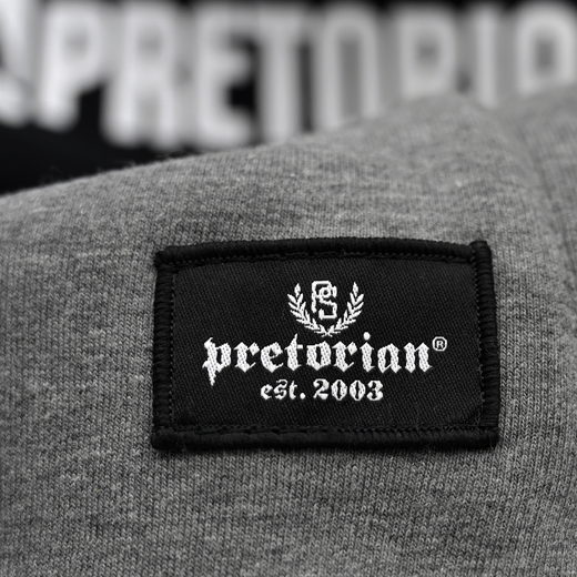 Hoodie Pretorian "Fight Division" - grey