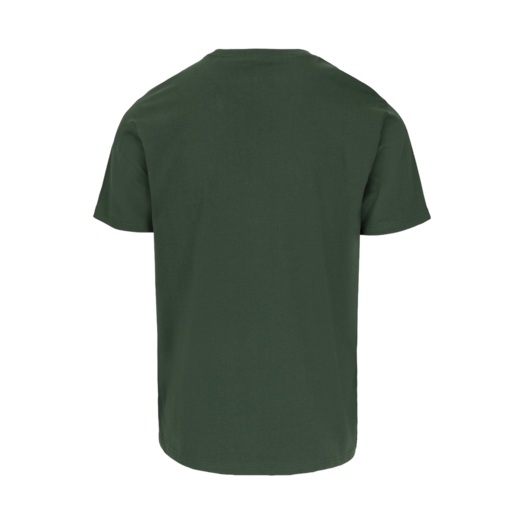 PIT BULL "NORTON" T-shirt - green