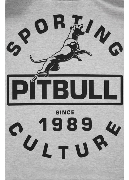 Bluza męska PIT BULL PHYSICAL CULTURE - szara