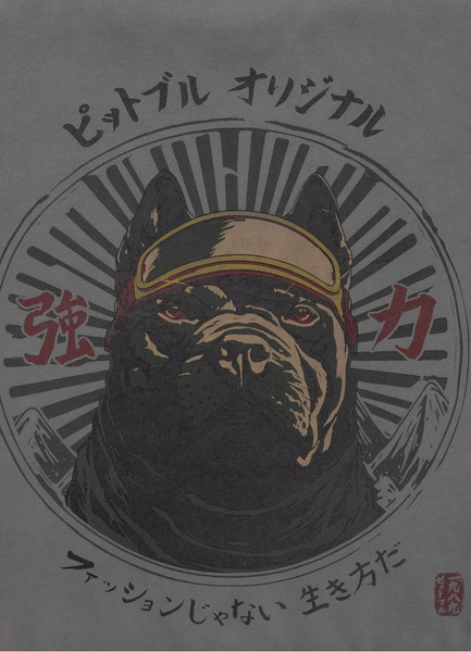 Bluza męska PIT BULL Washed "MT FUJI" - szara