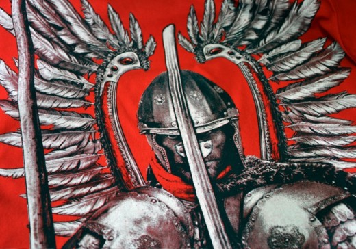 Koszulka Aquila "Vivat Polska HD!"