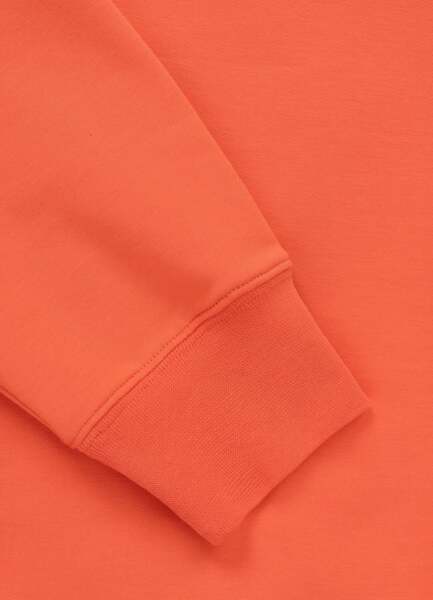 PIT BULL &quot;SURFING DOG&quot; sweatshirt - salmon