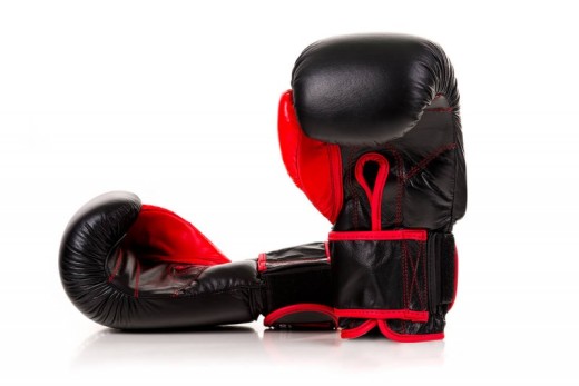 Bushido ARB-415 boxing gloves