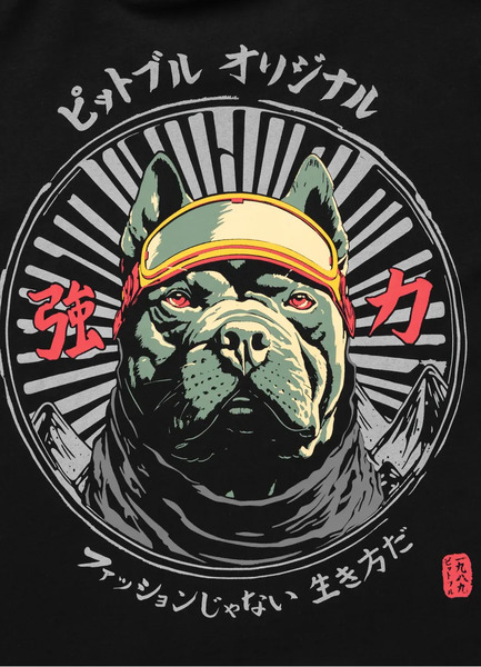 Koszulka męska PIT BULL "MT. FUJI" - czarny