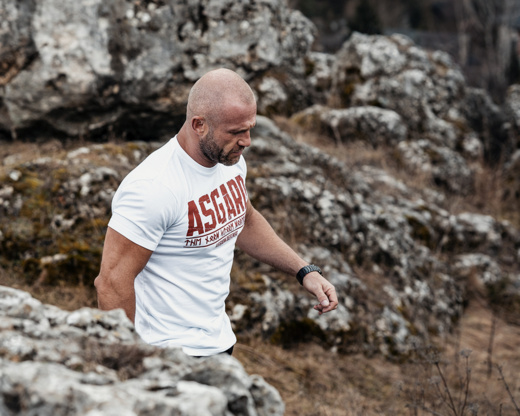 Koszulka T-shirt Dobermans Aggressive "Defence Legion Asgard" TS332 - beżowa