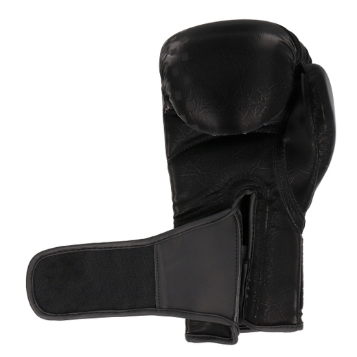 MASTERS RPU-GLOSS boxing gloves