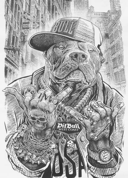 PIT BULL "AVENUE" T-shirt - white