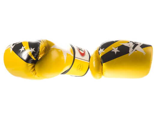 RĘKAWICE BOKSERSKIE FAIRTEX BGV1-N (yellow/black) "Nation Print" "K"